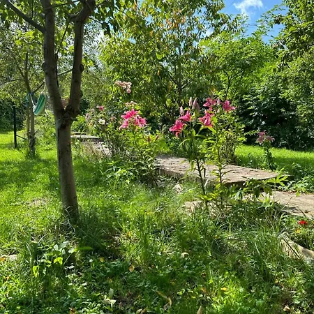Daniela Guest house Corbeni