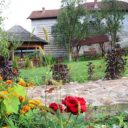 Guest house Daniela